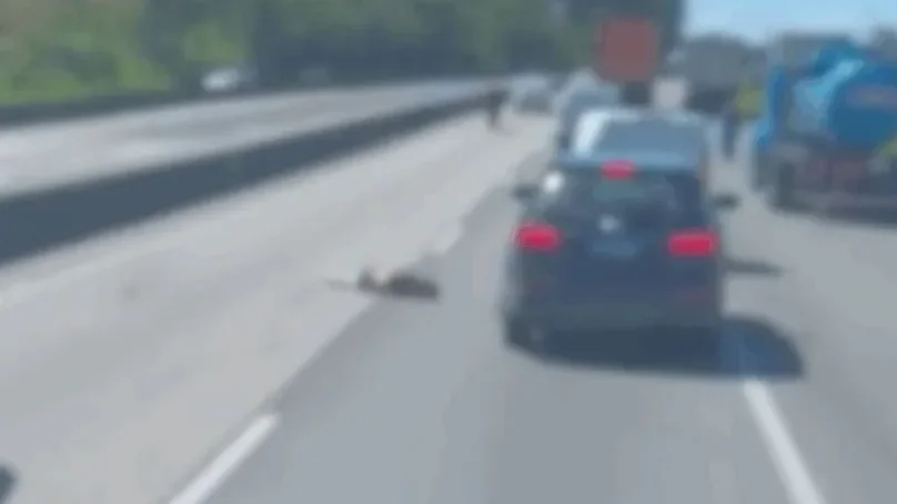 Pedestre morre atropelado na BR-101