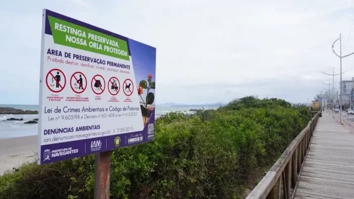 Restingas terão proteção garantida na faixa de 300 metros da praia