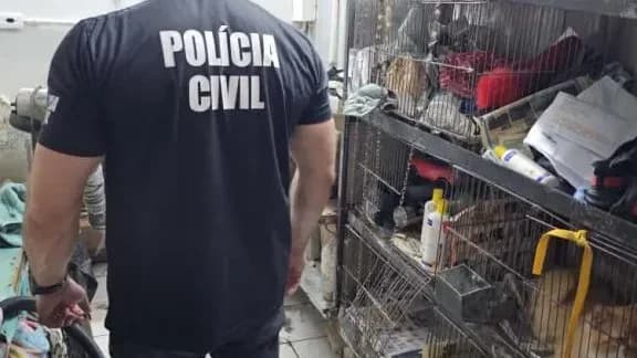 Pet shop interditado após flagrante de irregularidades sanitárias